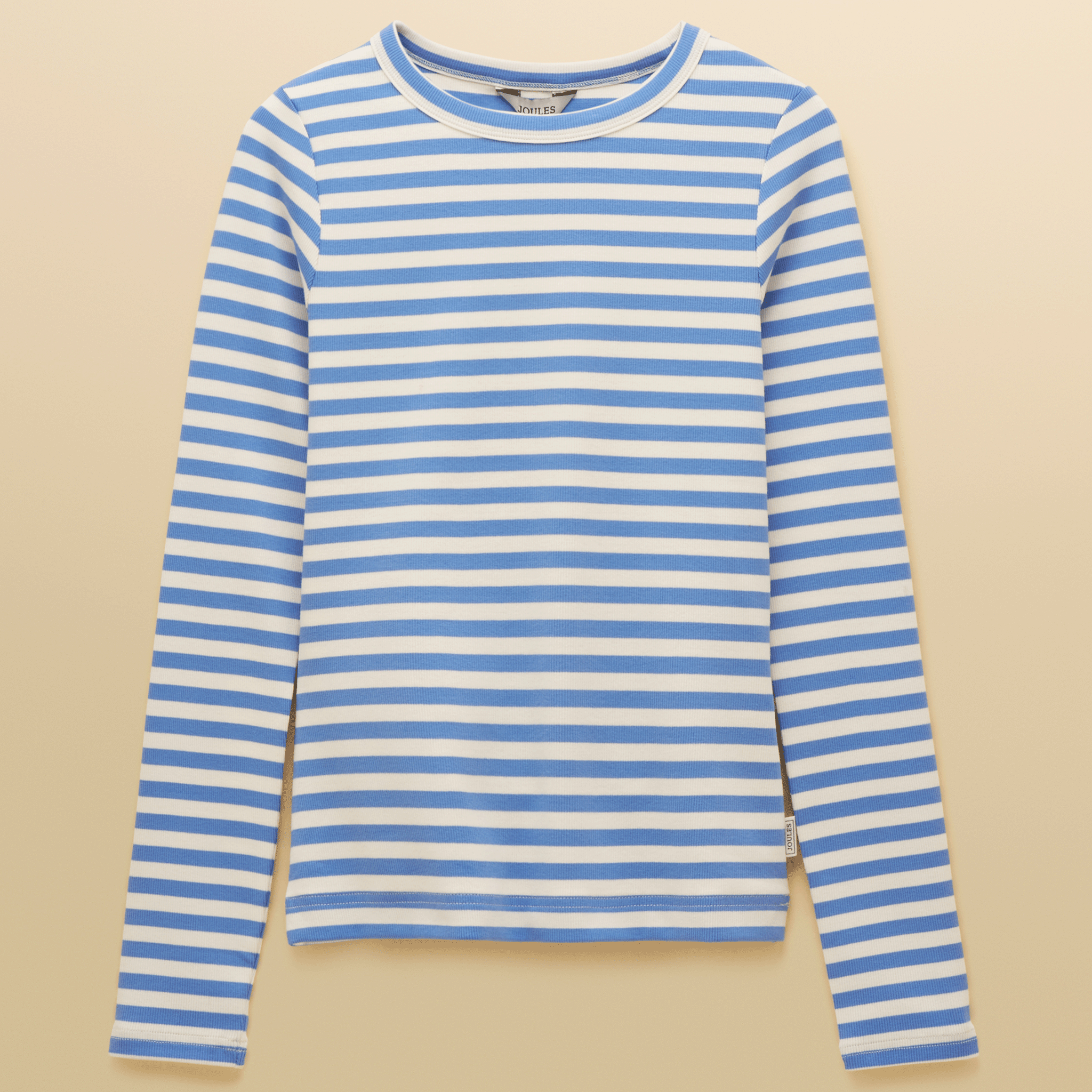 Joules Sophie Long Sleeved Striped T-Shirt in Blue