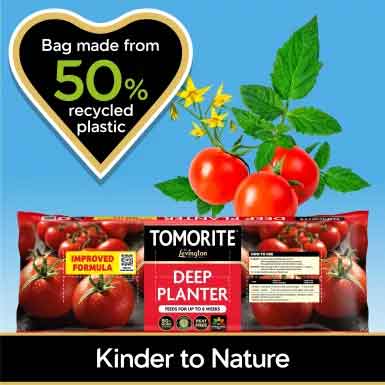 Levington-Tomorite-Deep-Planter-3