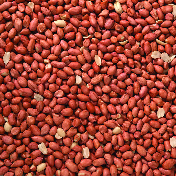 Peanuts2