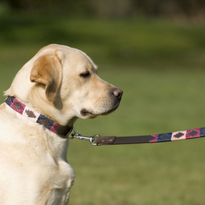 Pioneros Polo Dog Lead - Berry, Navy &amp; Pink 2