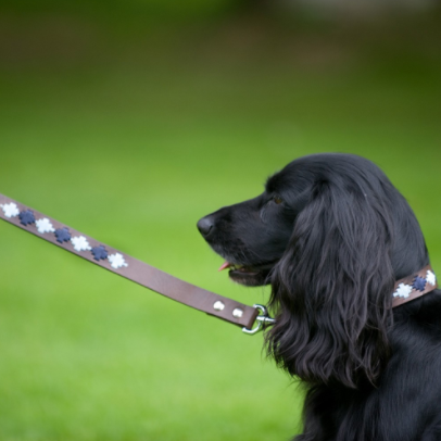 Pioneros Polo Dog Lead - Pampas Corss Navy &amp; Blue 2