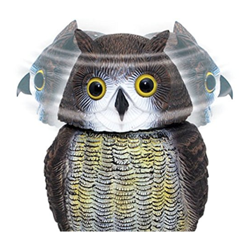 STV Bird Deterrent Wind Action Owl 2