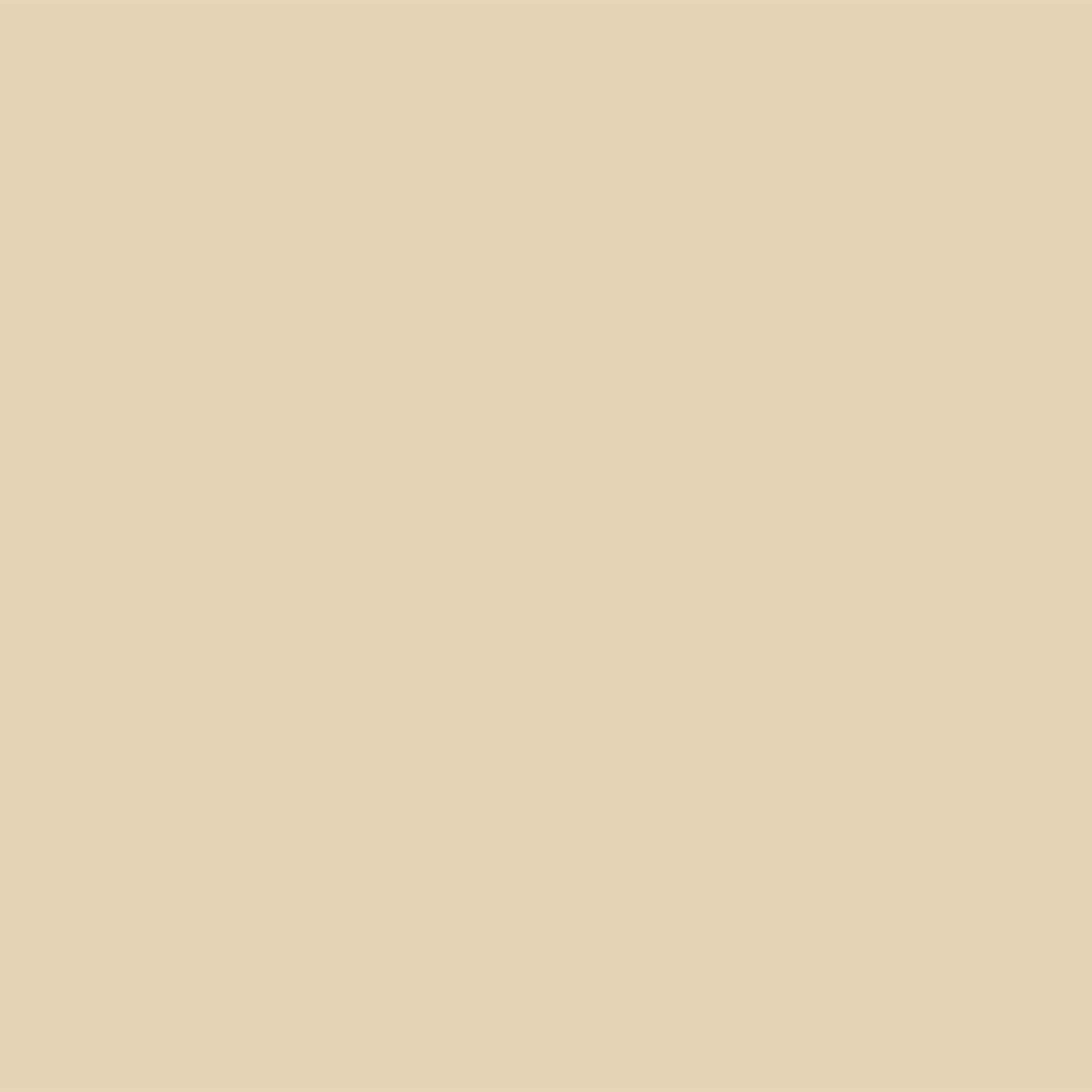 Bedec Extra Flex Masonry Paint