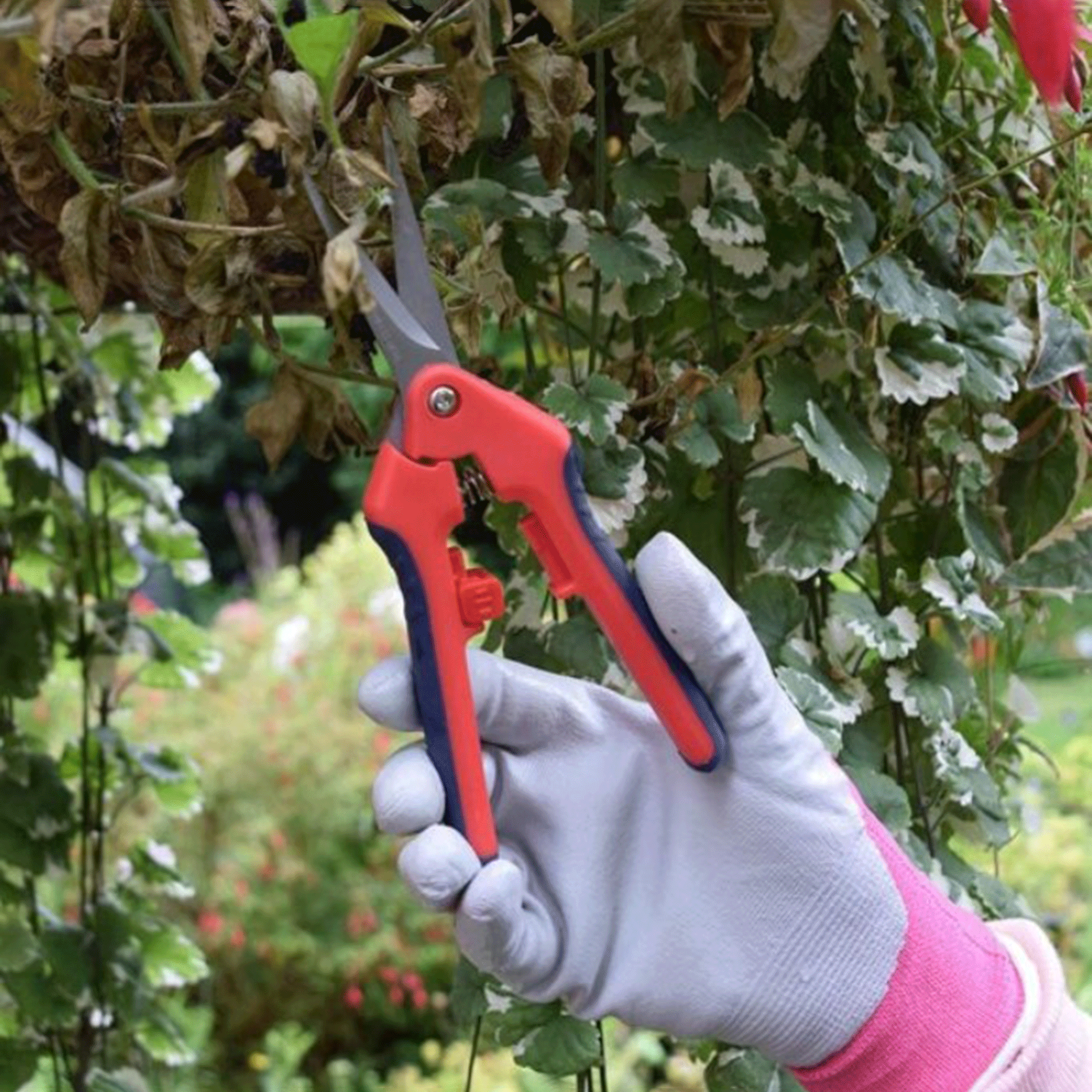 Spear & Jackson 4951PS Razorsharp Precision Snips – Fine Garden Pruning Scissors
