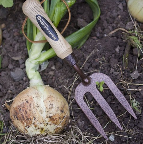 Spear &amp; Jackson Elements Weed Fork 1