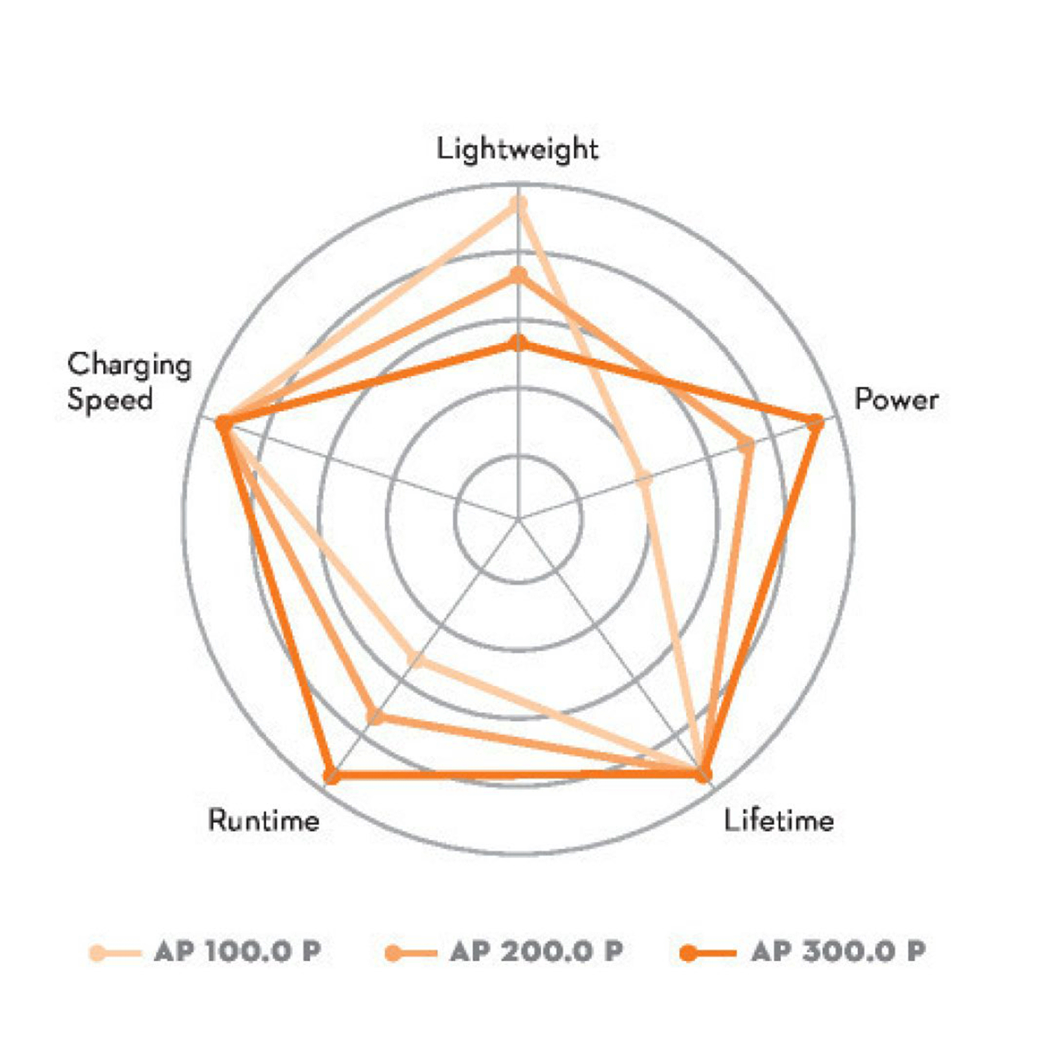 Stihl AP 300 P All Pro 40V Battery
