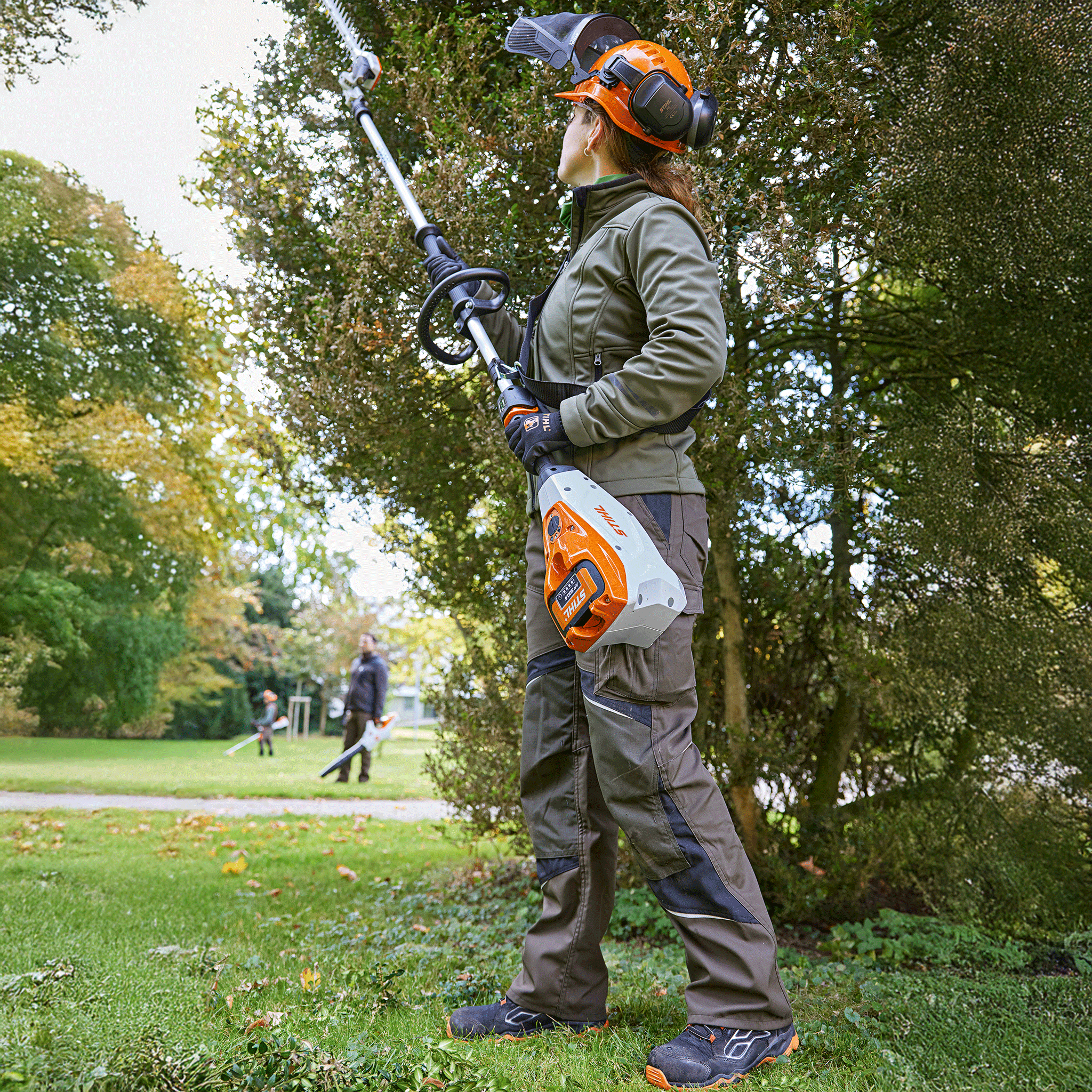 Stihl HLA 135 Cordless Long-reach Hedge Trimmer – AP System