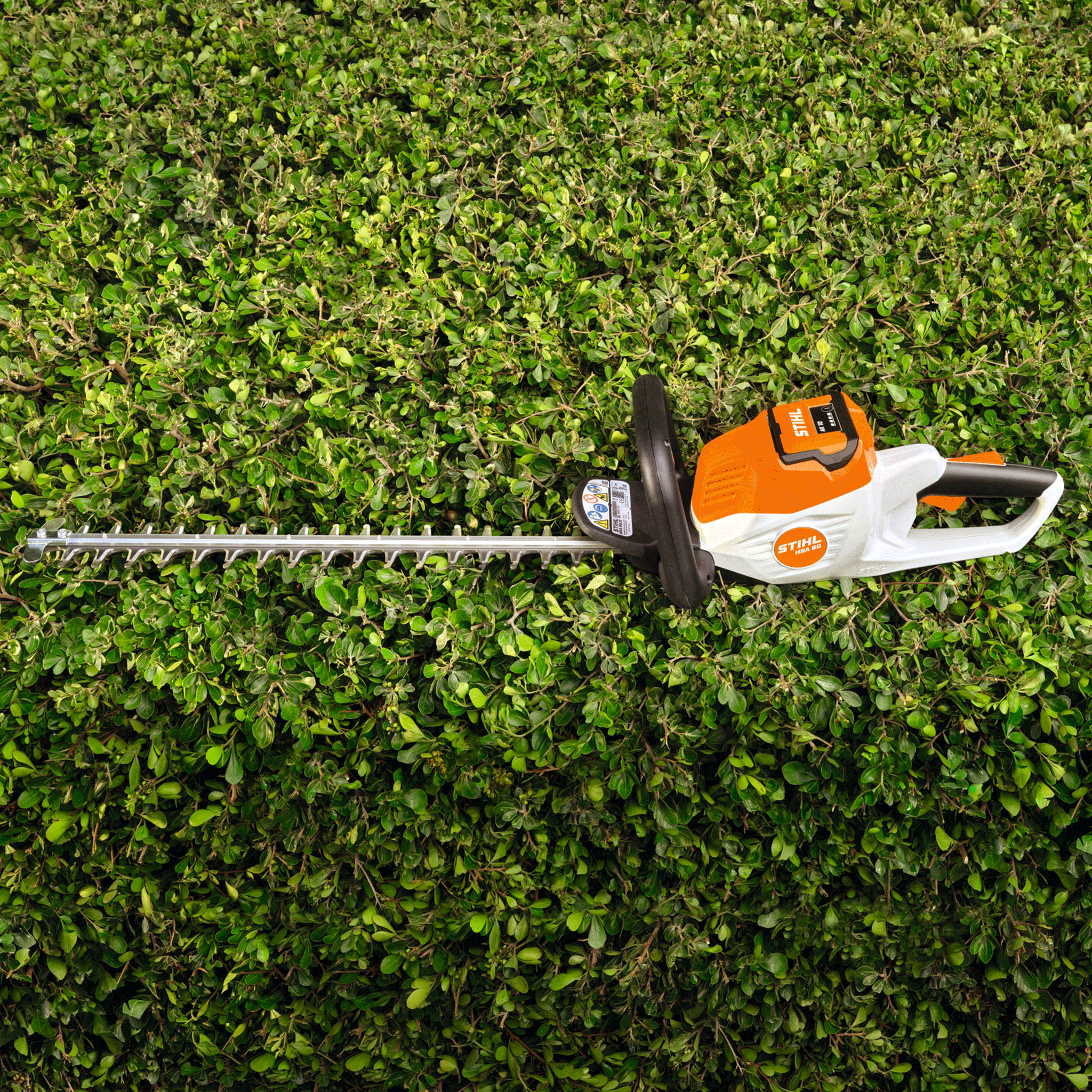 Stihl HSA 50 Cordless Hedge Trimmer (Tool Only)