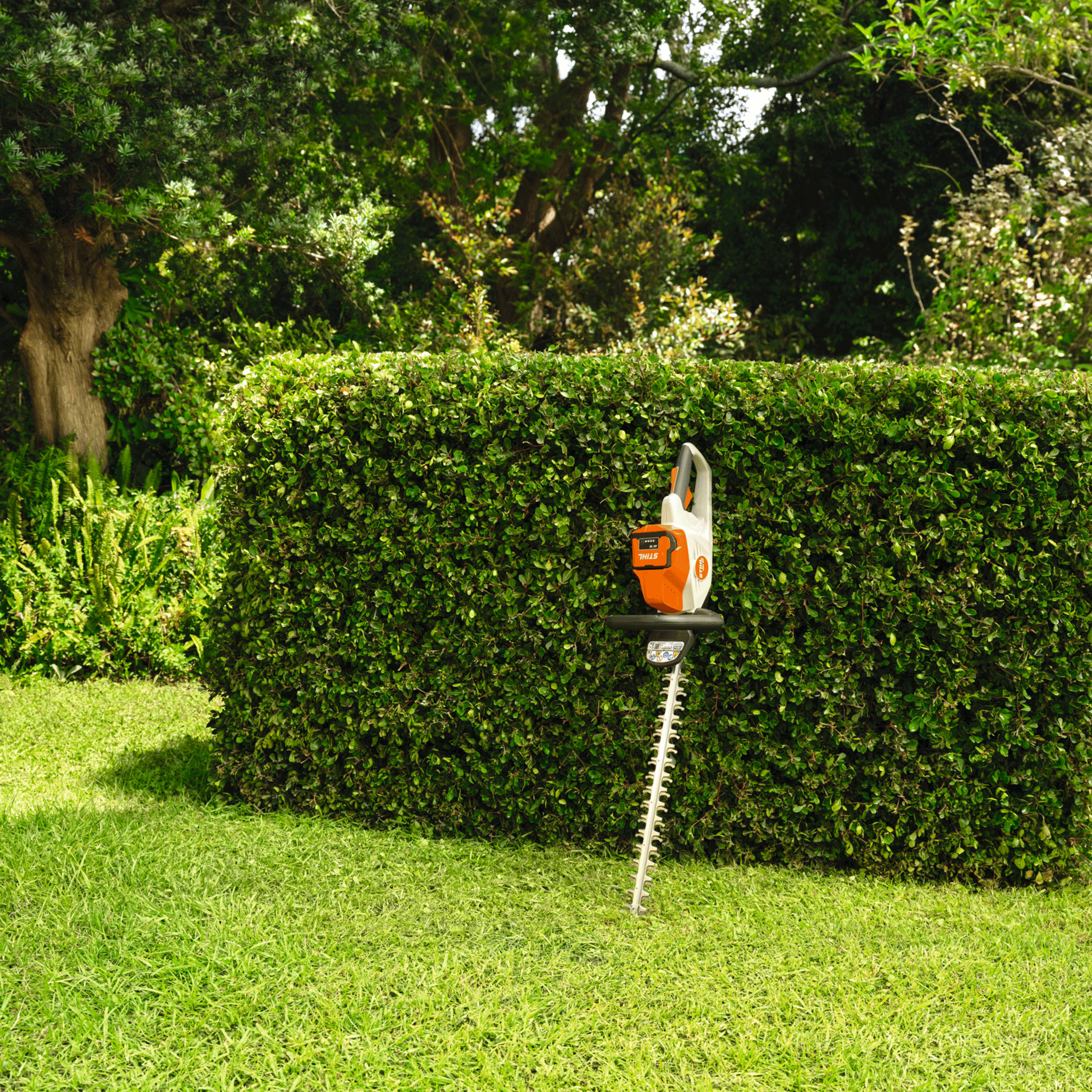 Stihl HSA 50 Cordless Hedge Trimmer (Tool Only)