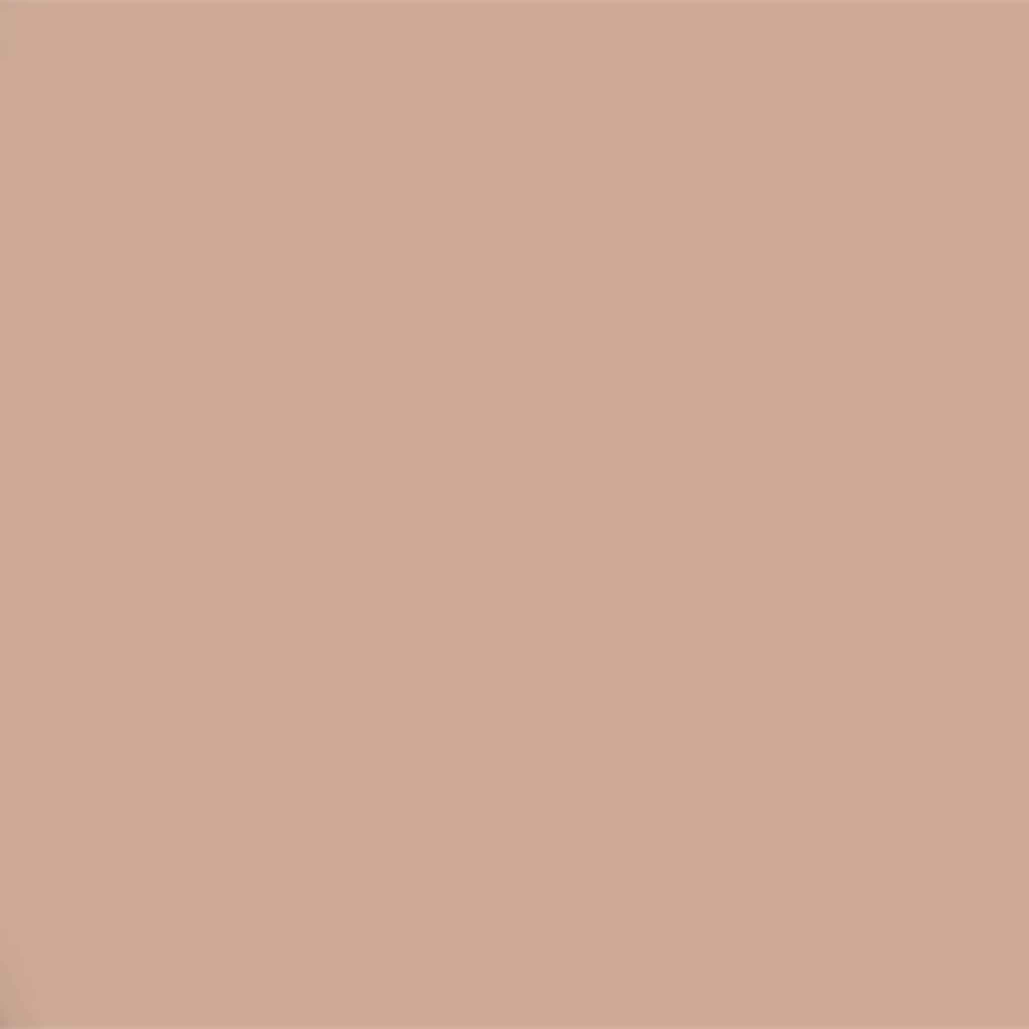 Bedec Extra Flex Masonry Paint