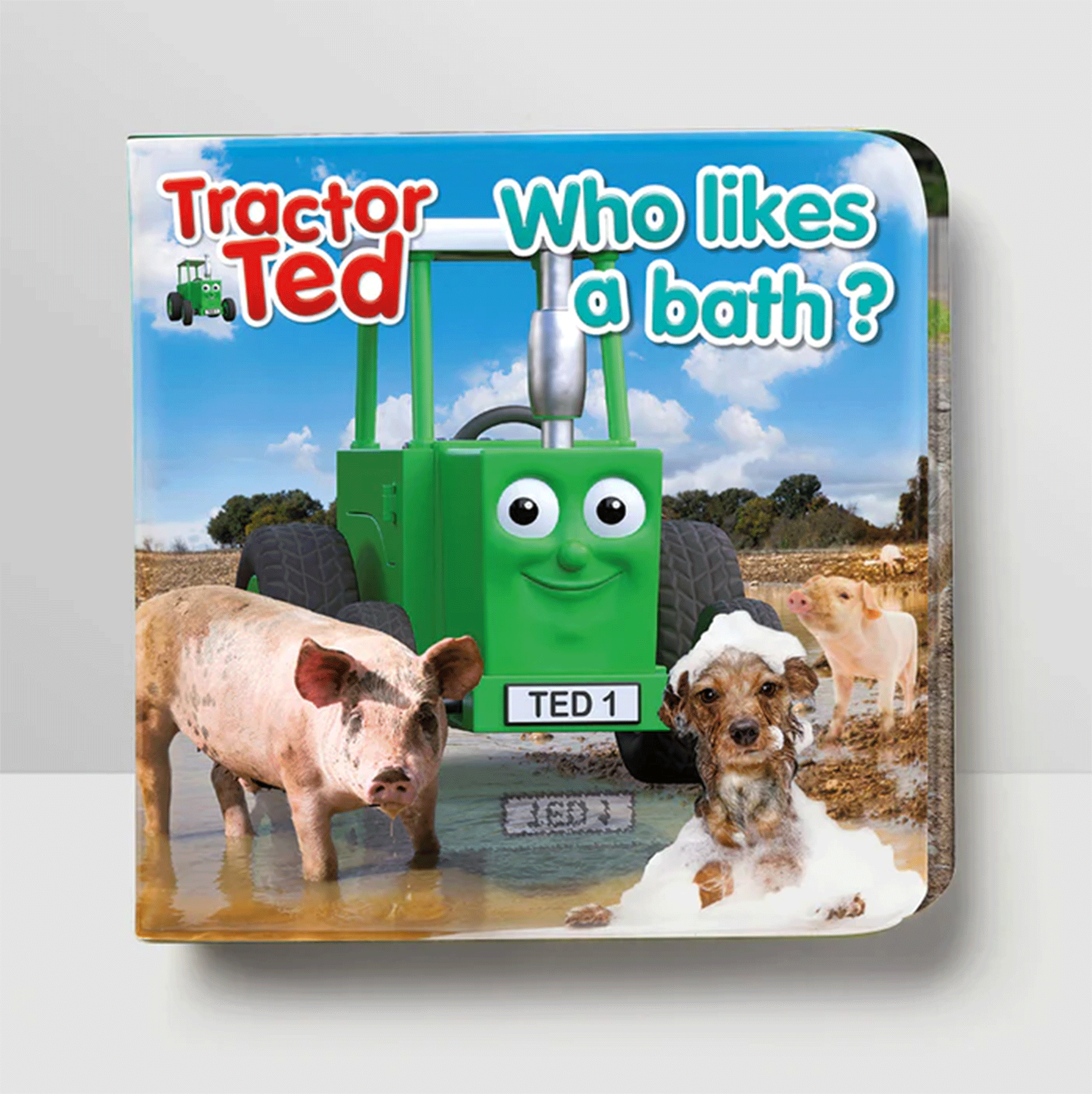 Tractor Ted Who likes a Bath? Magic Bath Book