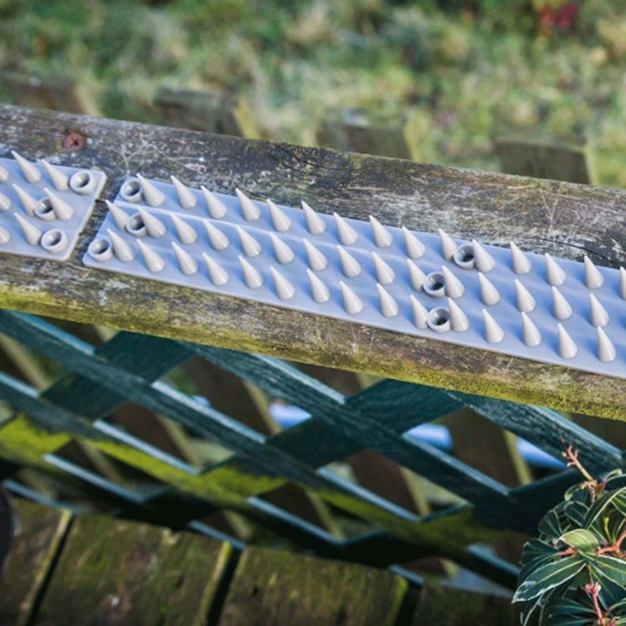 Big Cheese Cat Stop Fence Toppers