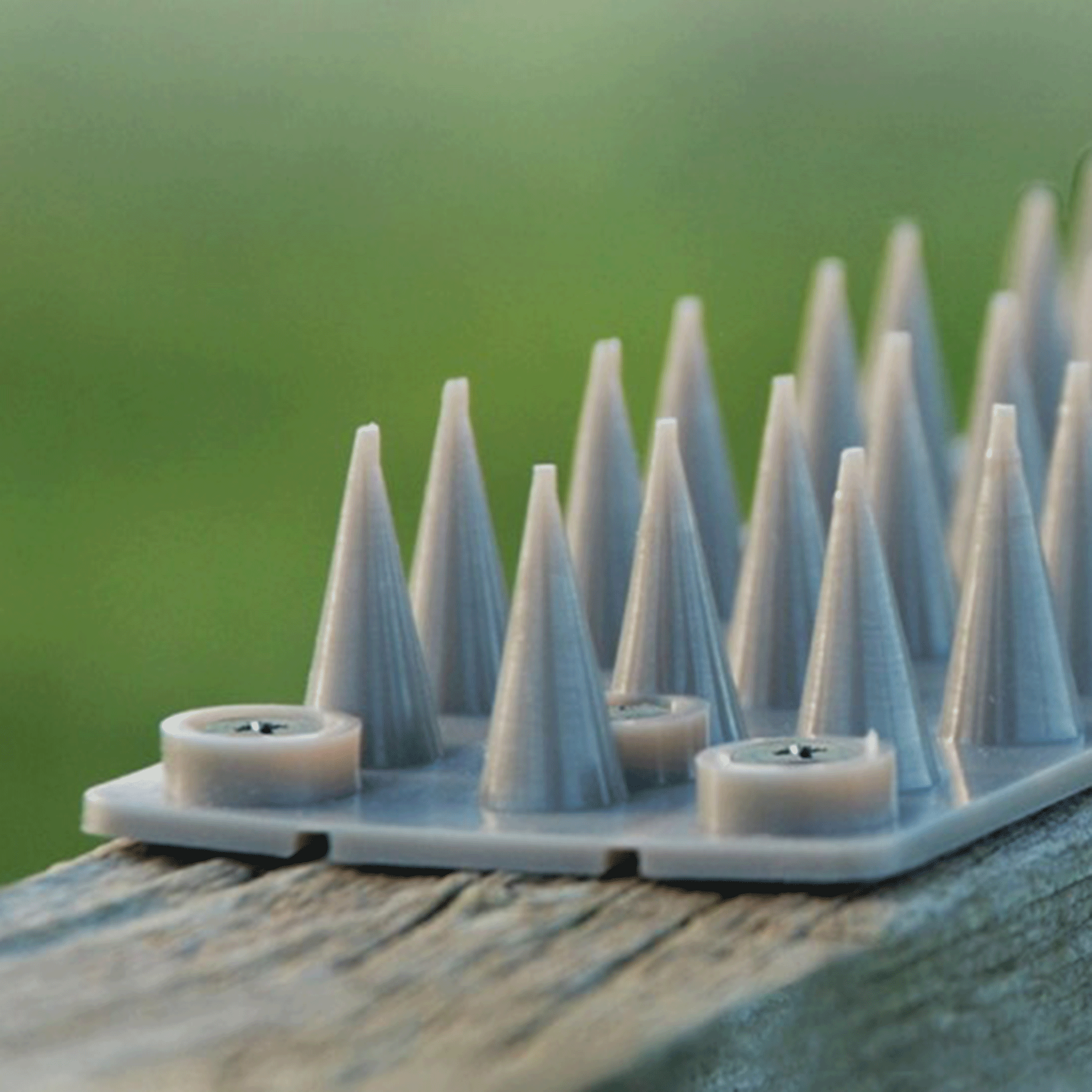 Big Cheese Cat Stop Fence Toppers