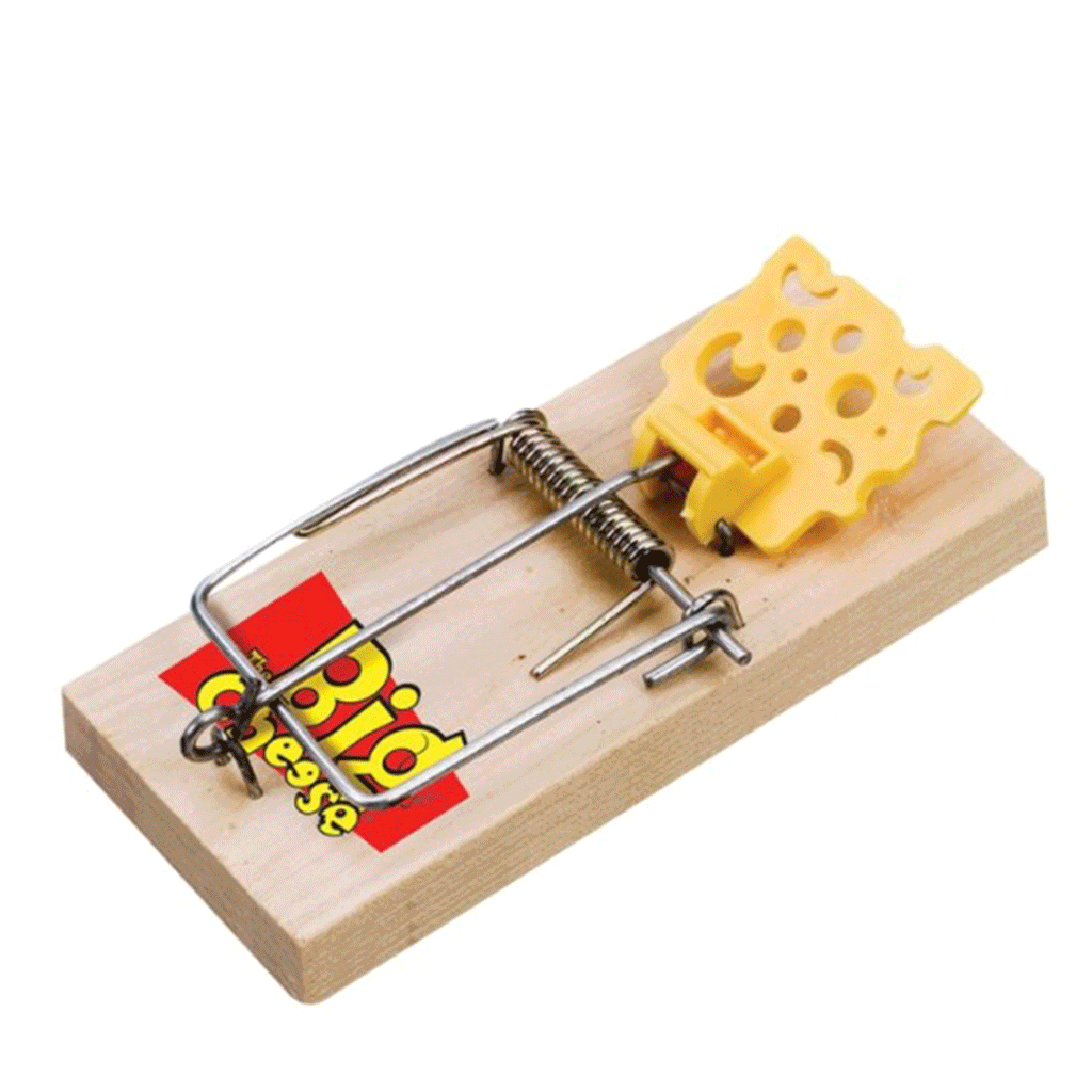 Cheese Wheel Rabbit Trap Big Cheese Cheese Pedal Mouse Trap Twinpack