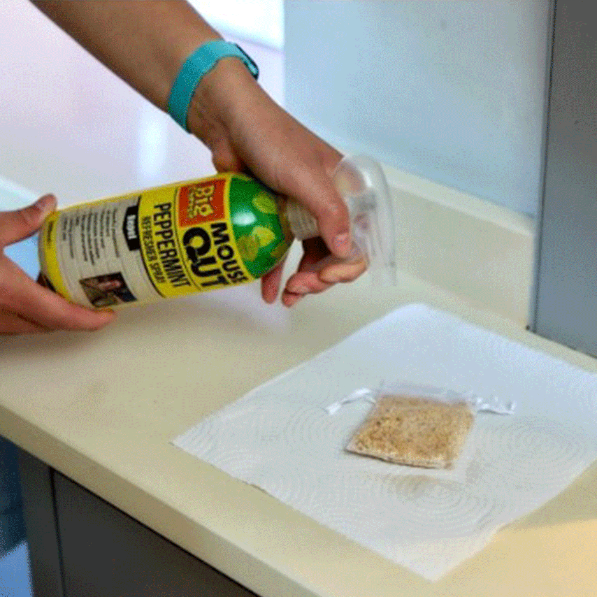 Big Cheese Mouse Out Peppermint Spray 500ml