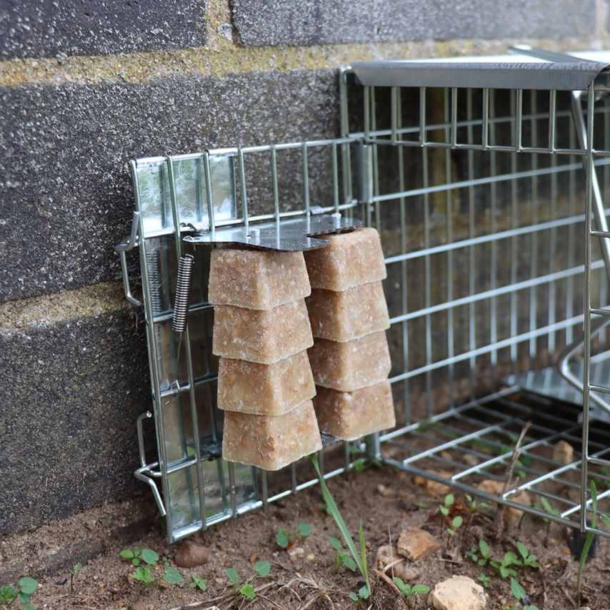 The Big Cheese Ready Baited Rat Trap 3