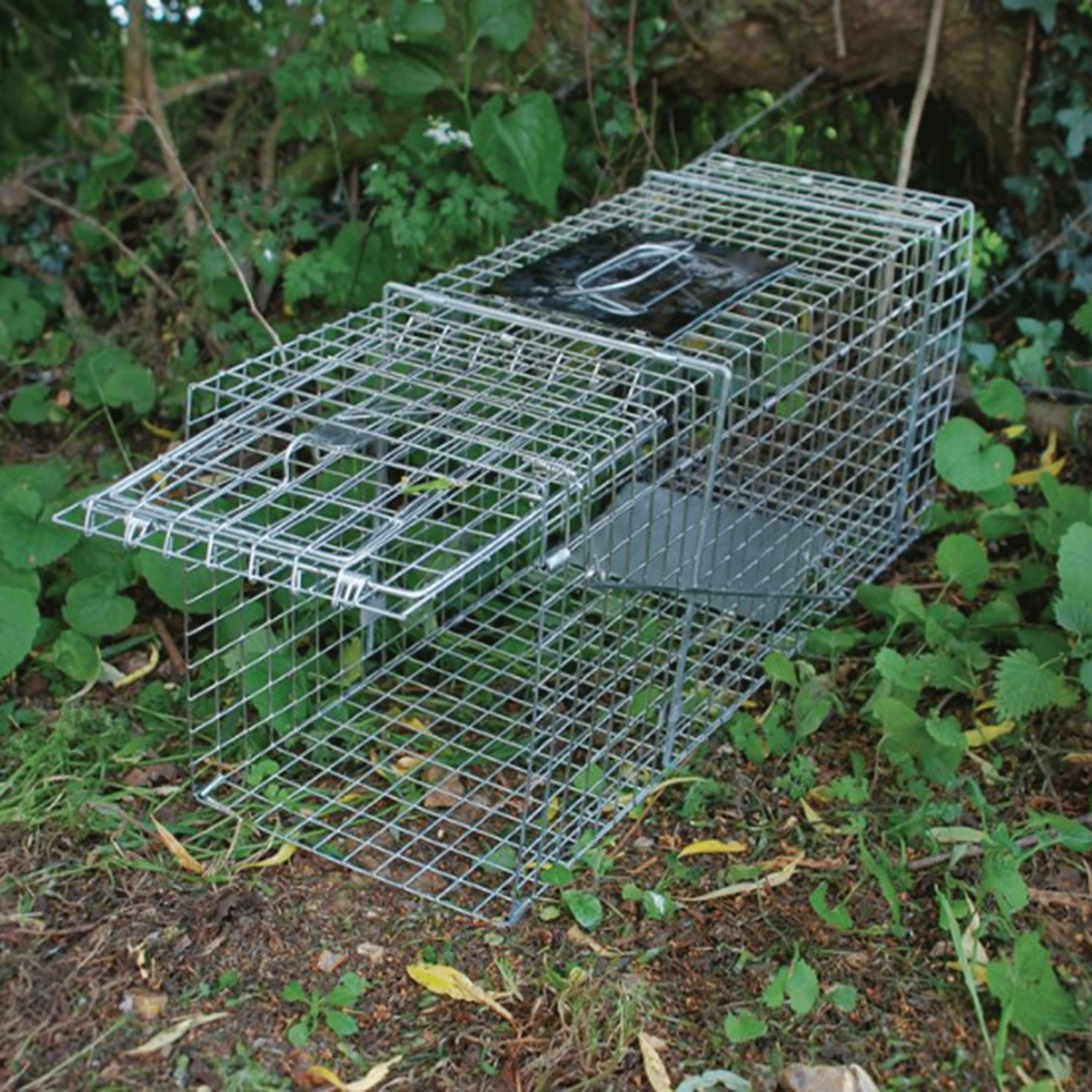 Big Cheese Ultra Power Humane Animal Trap