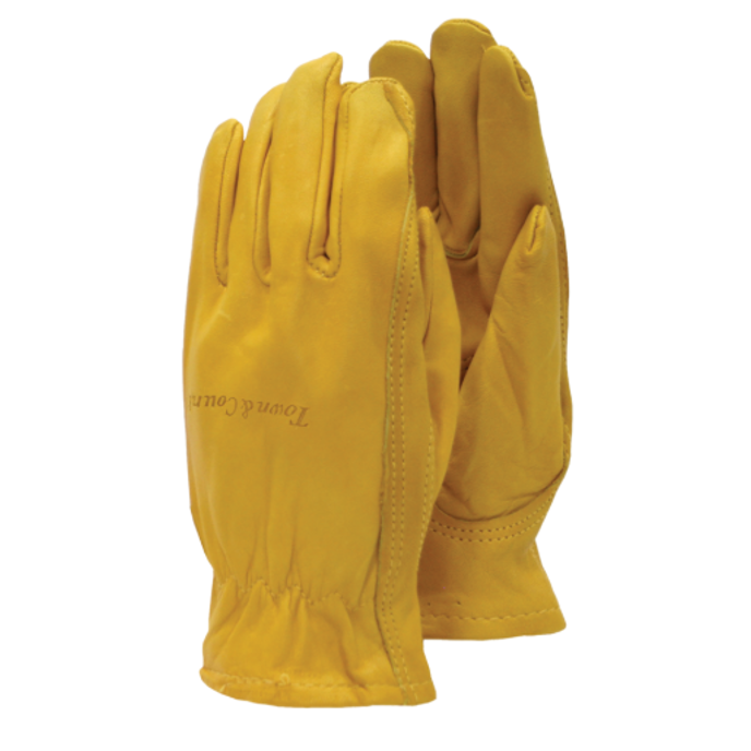 Town and Country Premium Leather Gloves 1
