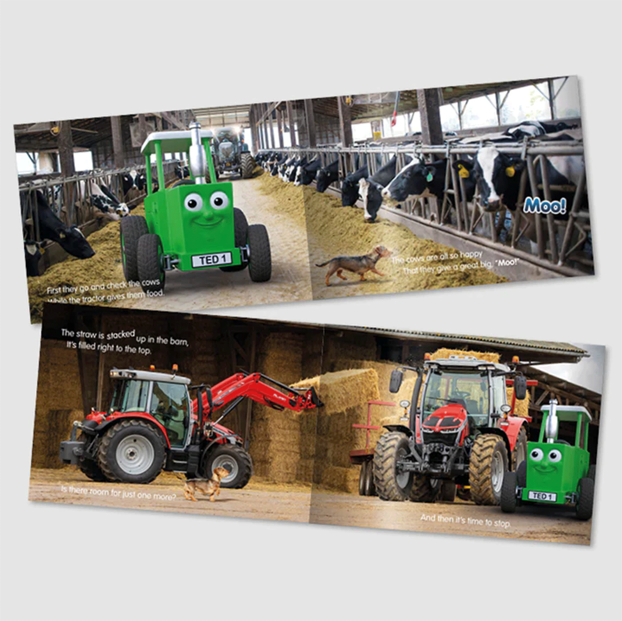 Tractor Ted's Day Story book