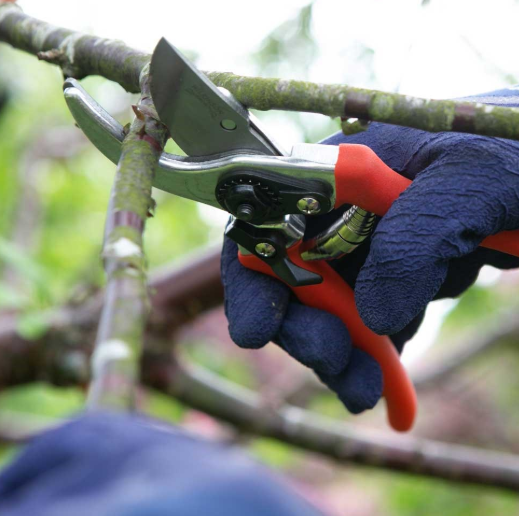 Wilkinson Sword 1111295WG Folding Pruner Saw &amp; Pruner Set 3