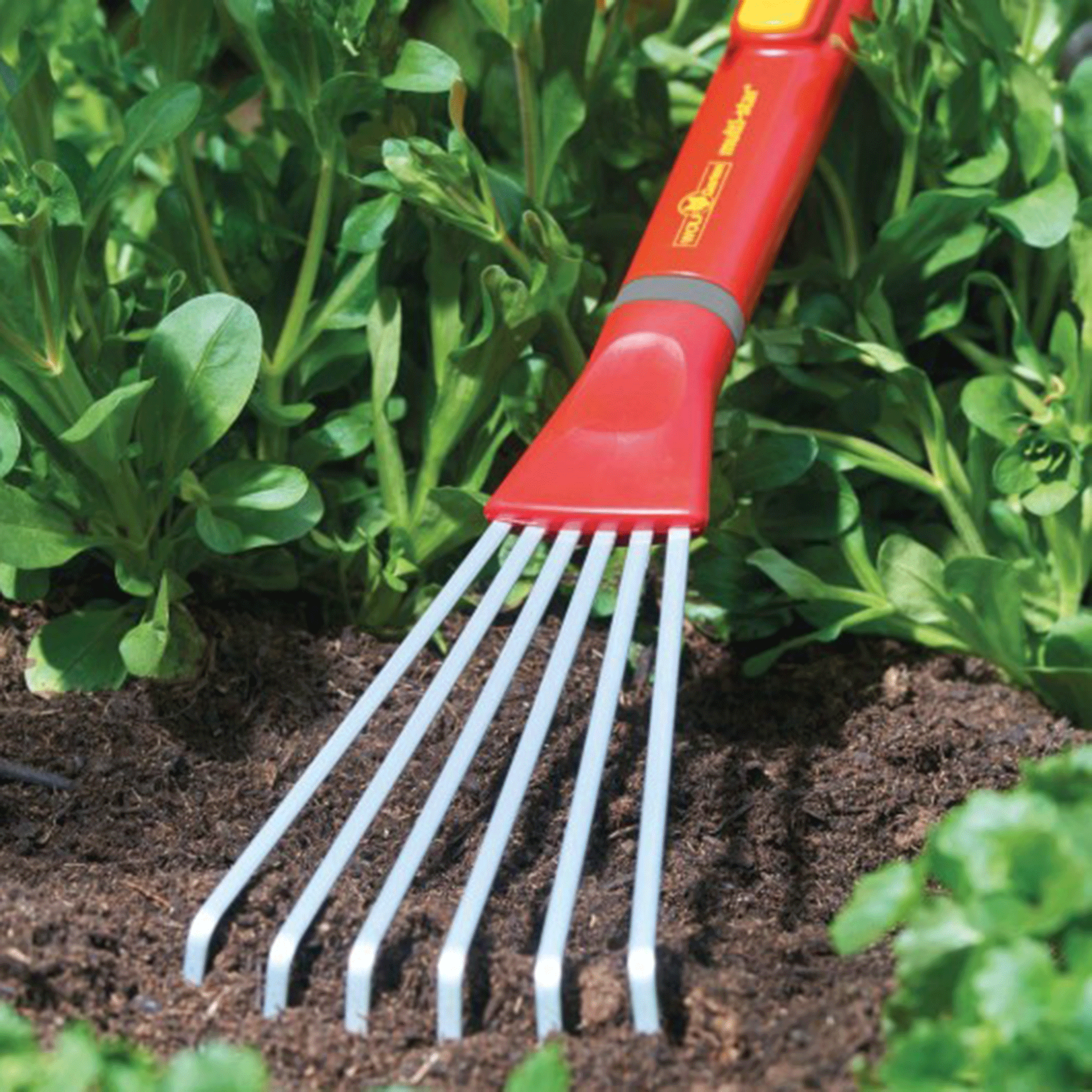 Wolf Garten LDMZM015 Small Fan Rake with Handle