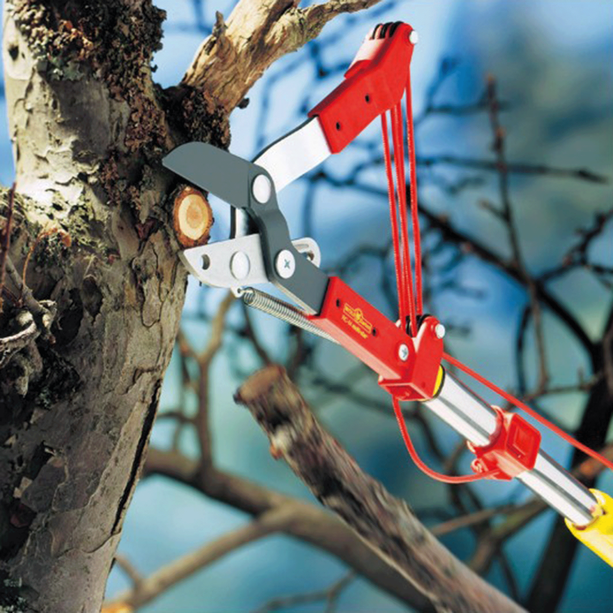 Wolf Garten Multi-Change Anvil Tree Lopper and Telescopic Handle 220-400cm Set
