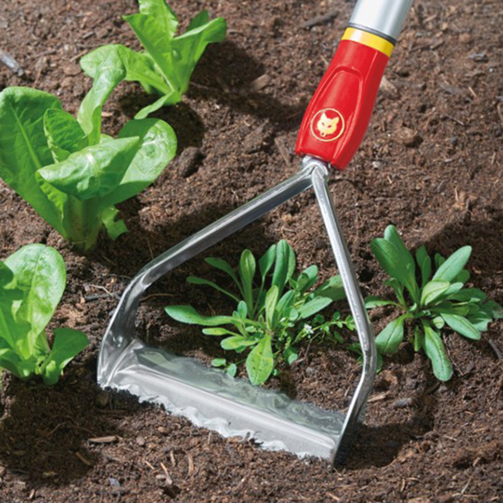 Wolf Garten Multi-Change Push-Pull Weeder 15cm