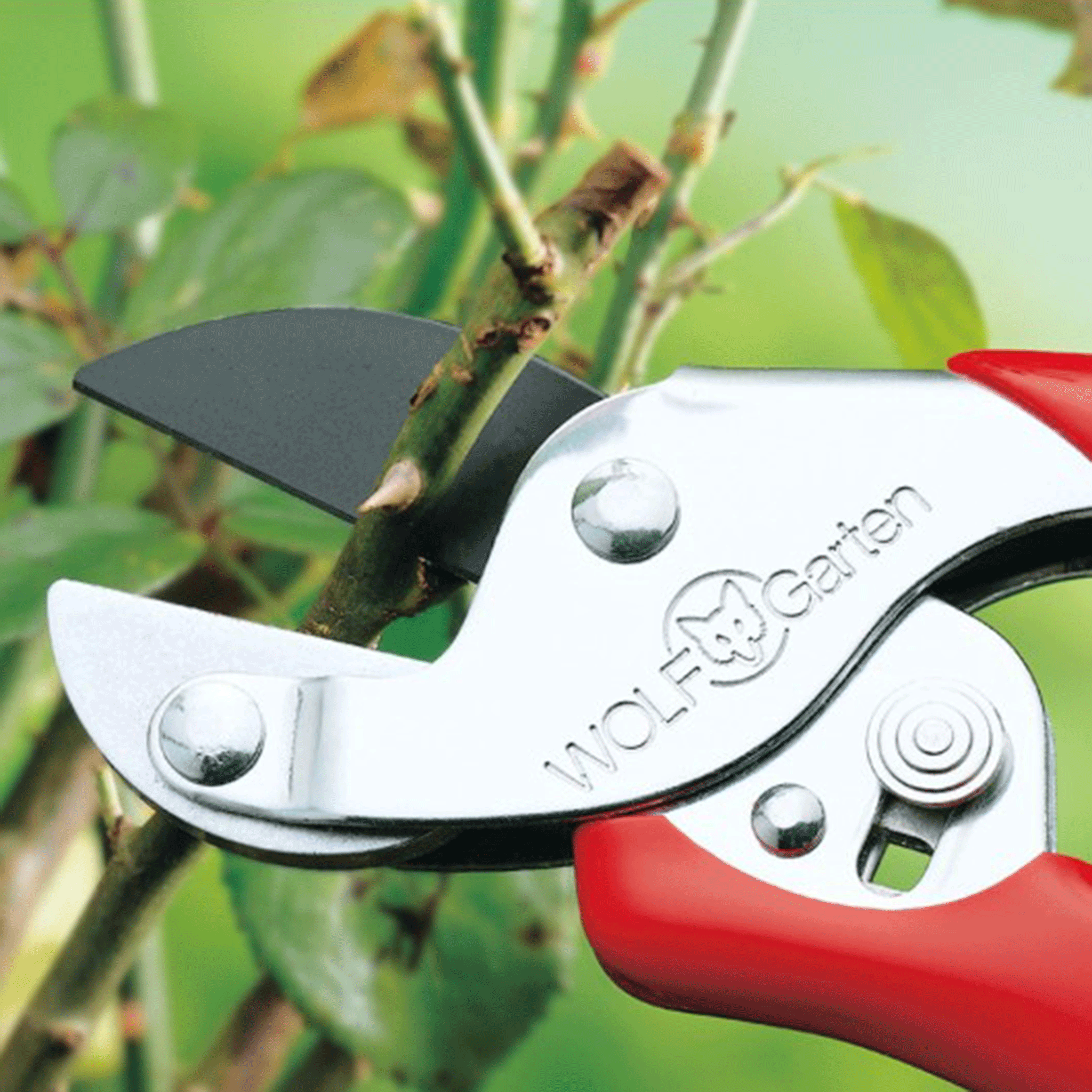 Wolf Garten RSEN Anvil Secateurs