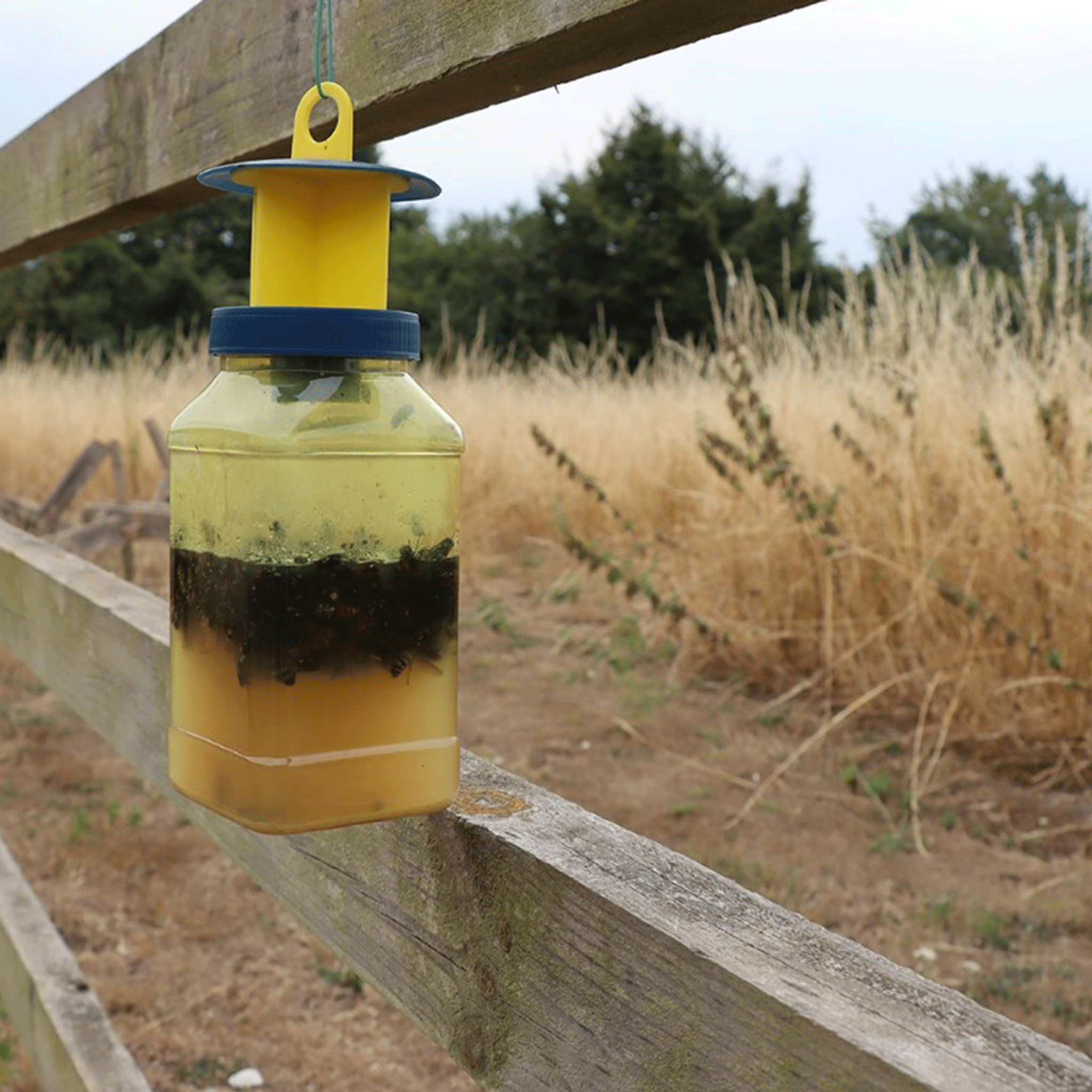 Zero In Fly Max XL Fly Catcher Bait Refill