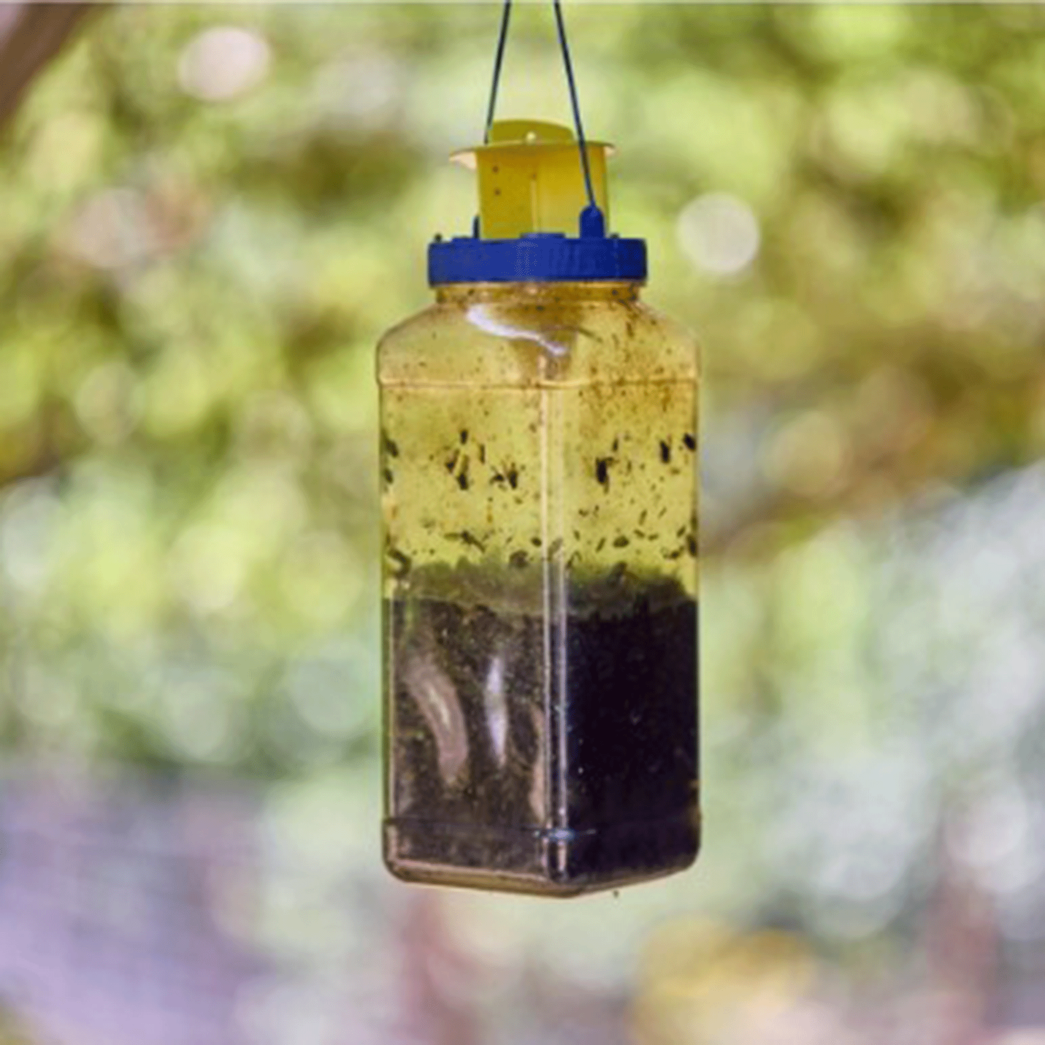 Zero In Fly Max XL Fly Catcher Outdoor Twinpack