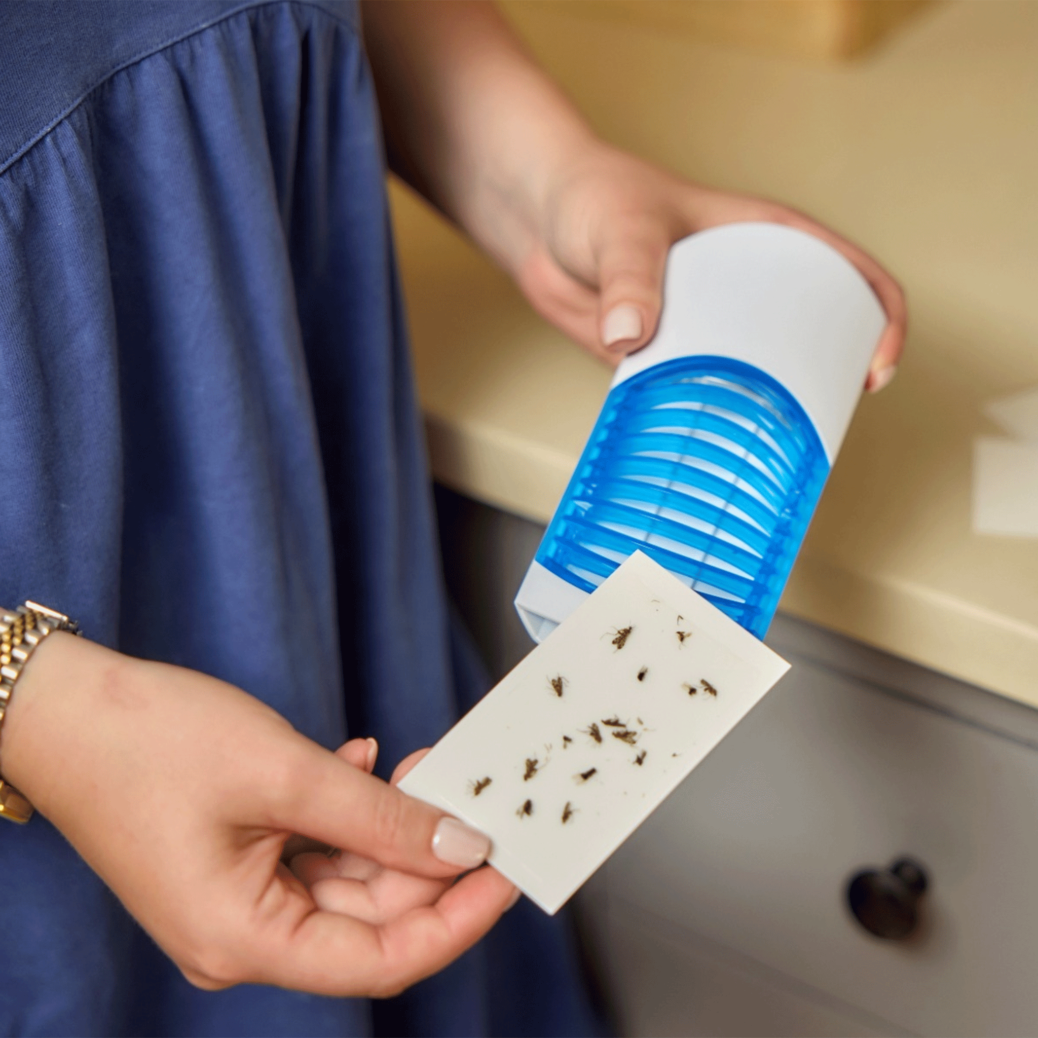 Zero In Night Time Insect Killer